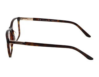 Seitenansicht Jaguar 32009 (8940)