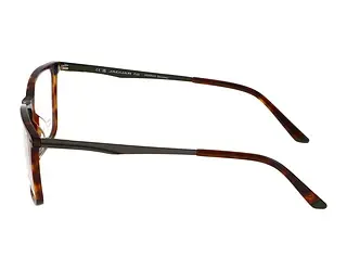 Seitenansicht Jaguar 32503 (4838)