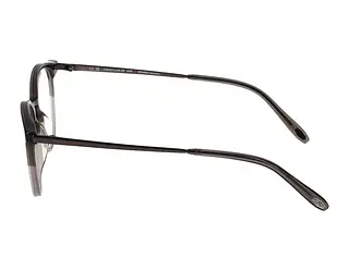 Seitenansicht Jaguar 32708 (5282)