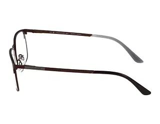 Seitenansicht Jaguar 33123 (2100)