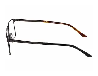 Seitenansicht Jaguar 33125 (4200)