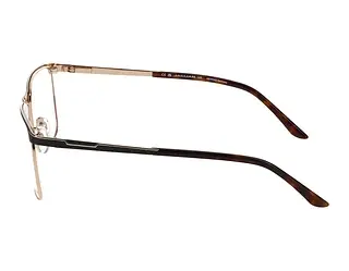 Seitenansicht Jaguar 33126 (4100)