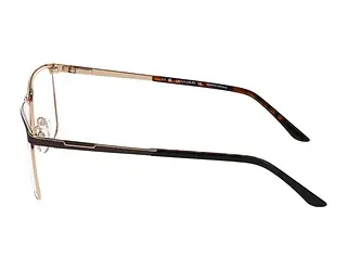 Seitenansicht Jaguar 33126 (5100)