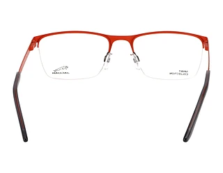 Rückansicht Jaguar 33599 (4200)