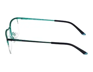Seitenansicht Jaguar 33612 (3100)