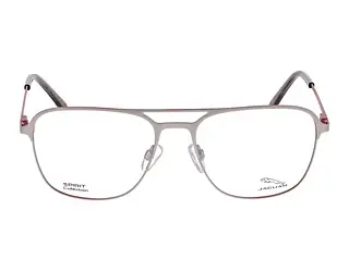Seitenansicht Jaguar 33613 (1000)