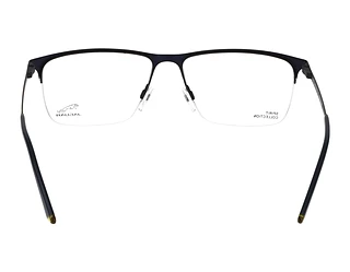 Rückansicht Jaguar 33619 (3101)