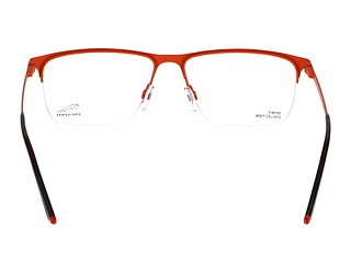 Rückansicht Jaguar 33619 (4100)