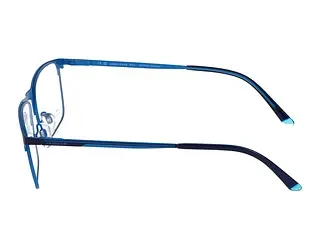 Seitenansicht Jaguar 33620 (3100)