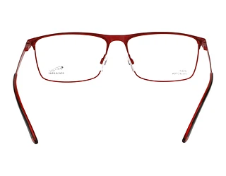 Rückansicht Jaguar 33620 (4200)