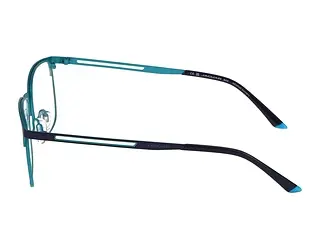 Seitenansicht Jaguar 33627 (3100)