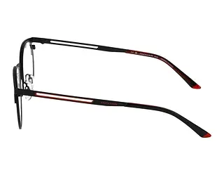 Seitenansicht Jaguar 33628 (6100)