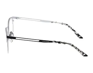 Seitenansicht Jaguar 33628 (6101)