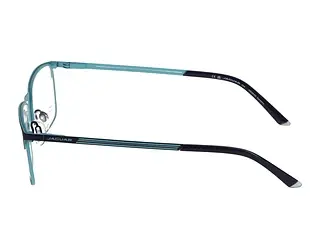 Seitenansicht Jaguar 33629 (3100)
