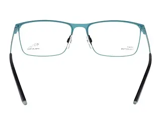 Rückansicht Jaguar 33629 (3100)