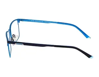 Seitenansicht Jaguar 33632 (3100)