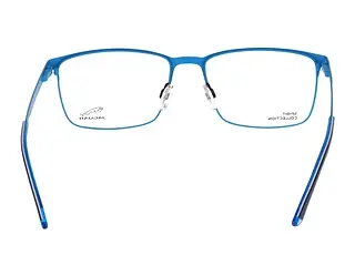 Rückansicht Jaguar 33632 (3100)