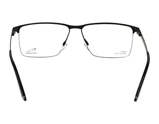 Rückansicht Jaguar 33633 (6100)