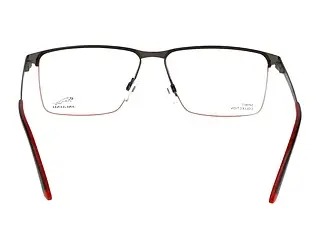 Rückansicht Jaguar 33633 (6500)