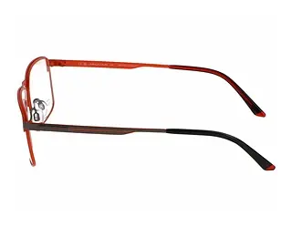 Seitenansicht Jaguar 33635 (4200)