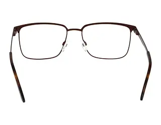 Rückansicht Jaguar 33638 (4100)