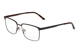 Vorderansicht Jaguar 33638 (4100)