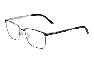Vorderansicht Jaguar 33638 (4200)