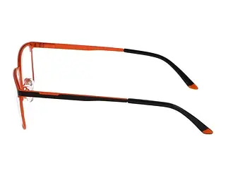 Seitenansicht Jaguar 33638 (6100)