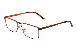 Vorderansicht Jaguar 33639 (4100)