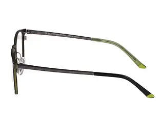 Seitenansicht Jaguar 33641 (5100)