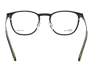 Rückansicht Jaguar 33641 (5100)