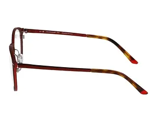 Seitenansicht Jaguar 33642 (2100)