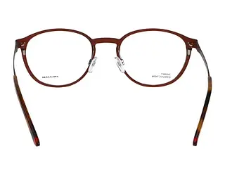 Rückansicht Jaguar 33642 (2100)