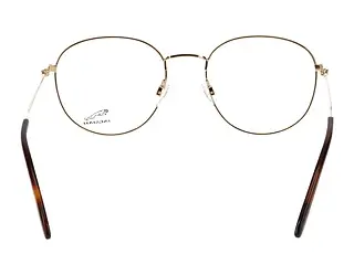 Rückansicht Jaguar 33721 (6000)