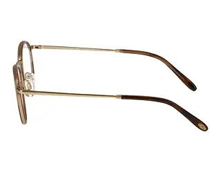 Seitenansicht Jaguar 33724 (5285)