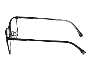 Seitenansicht Jaguar 35601 (6100)