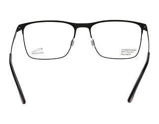 Rückansicht Jaguar 35601 (6100)