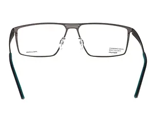 Rückansicht Jaguar 35607 (6500)