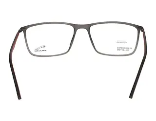 Rückansicht Jaguar 36807 (6500)