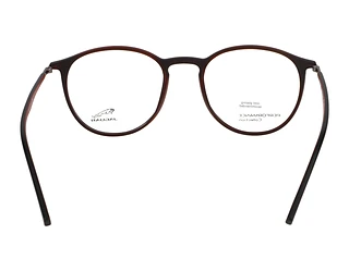 Rückansicht Jaguar 36808 (6100)