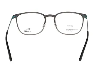 Rückansicht Jaguar 36813 (6500)