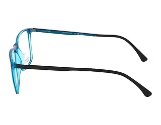 Seitenansicht Jaguar 36822 (3100)