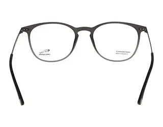 Rückansicht Jaguar 36826 (6500)