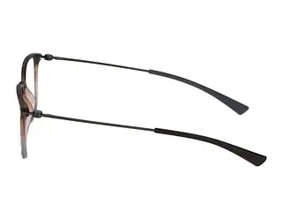 Seitenansicht Jaguar 36831 (5100)
