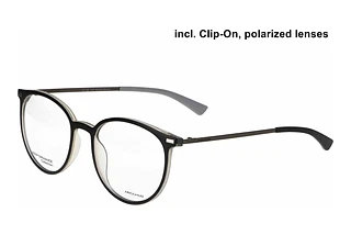 Vorderansicht Jaguar 36835 (6500)