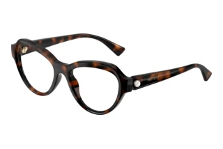 Vorderansicht Jimmy Choo JC1002HU (5002)