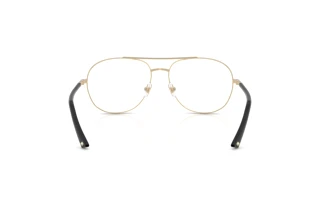 Rückansicht Jimmy Choo JC2021 (3006)