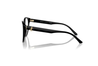 Seitenansicht Jimmy Choo JC3009 (5000)