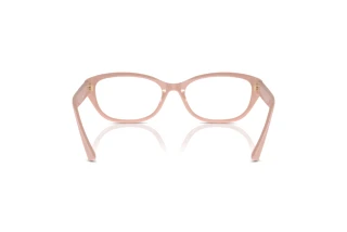 Rückansicht Jimmy Choo JC3015 (5014)