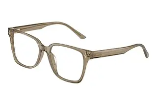 Jimmy Choo JC3038D 5051 Transparent Brown